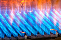 Meyrick Park gas fired boilers